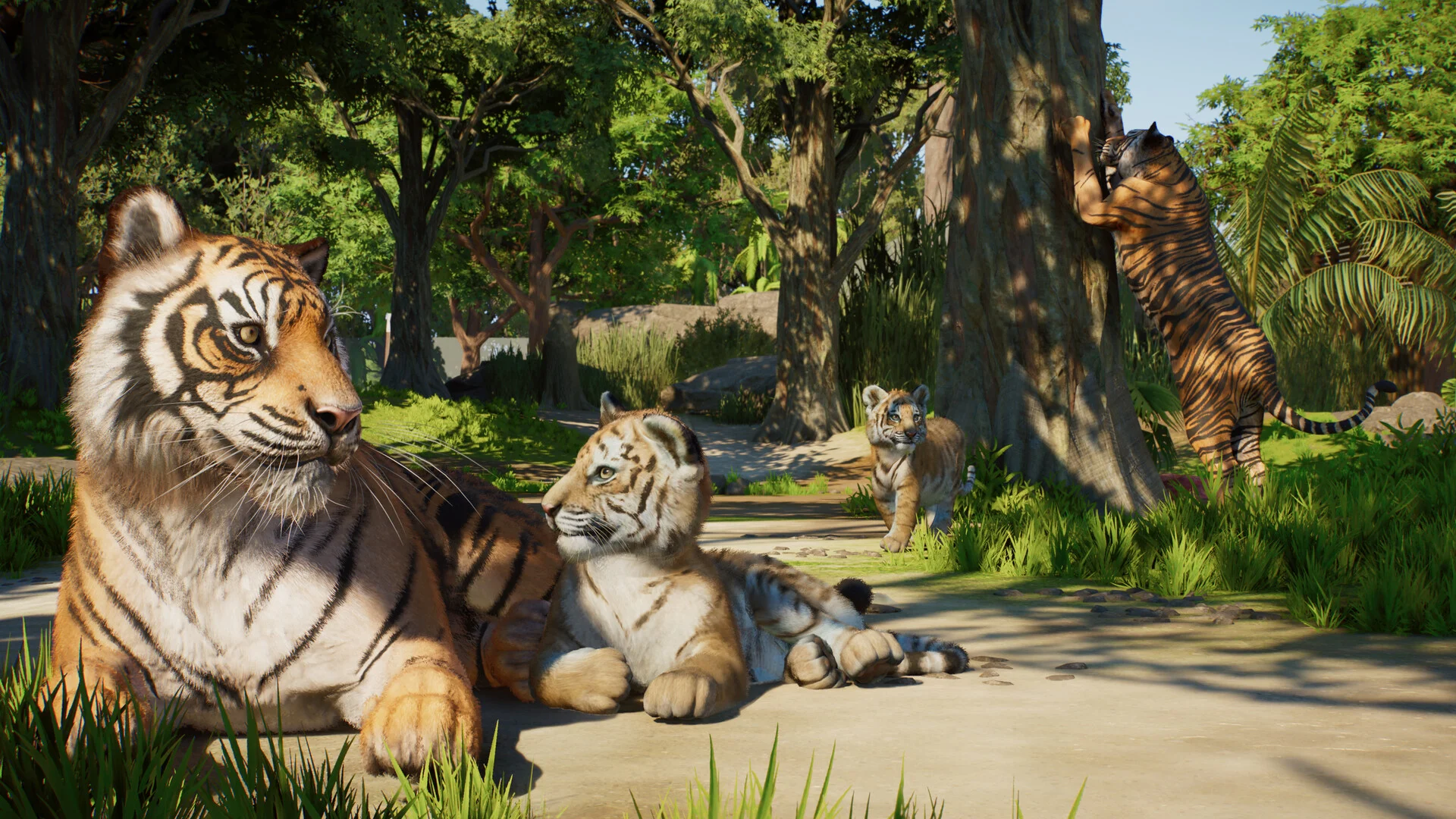 ภาพหน้าจอเขตอนุรักษ์สัตว์ป่าใน Planet Zoo 2 Mobile