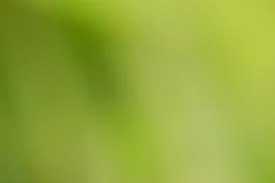 Ben dan Gwen dalam suasana bandar dengan aura hijau Omnitrix