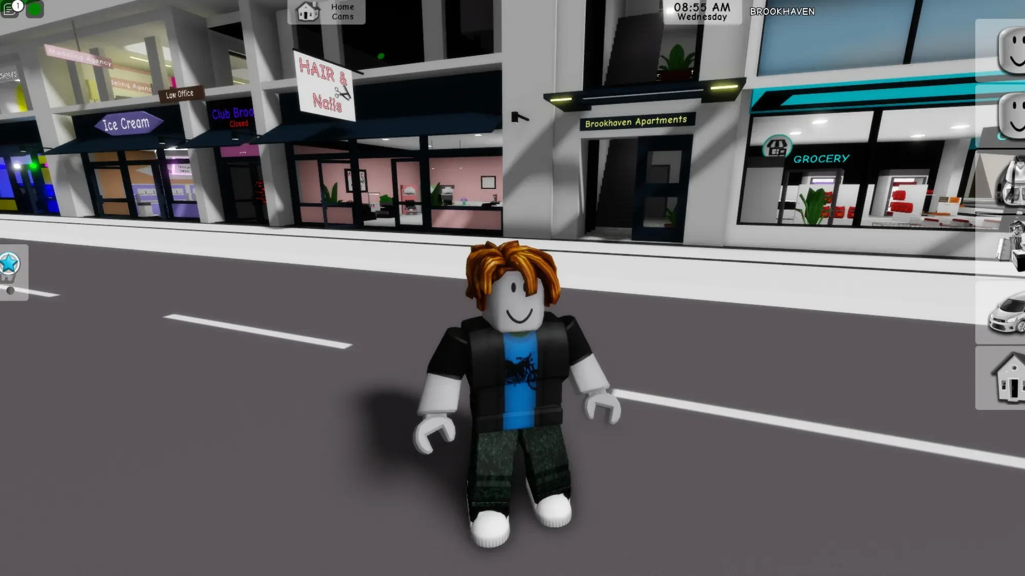 Roblox Screenshot 3