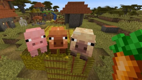 รูปภาพ Minecraft 3