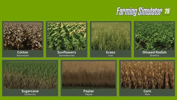 สกรีนช็อต 2