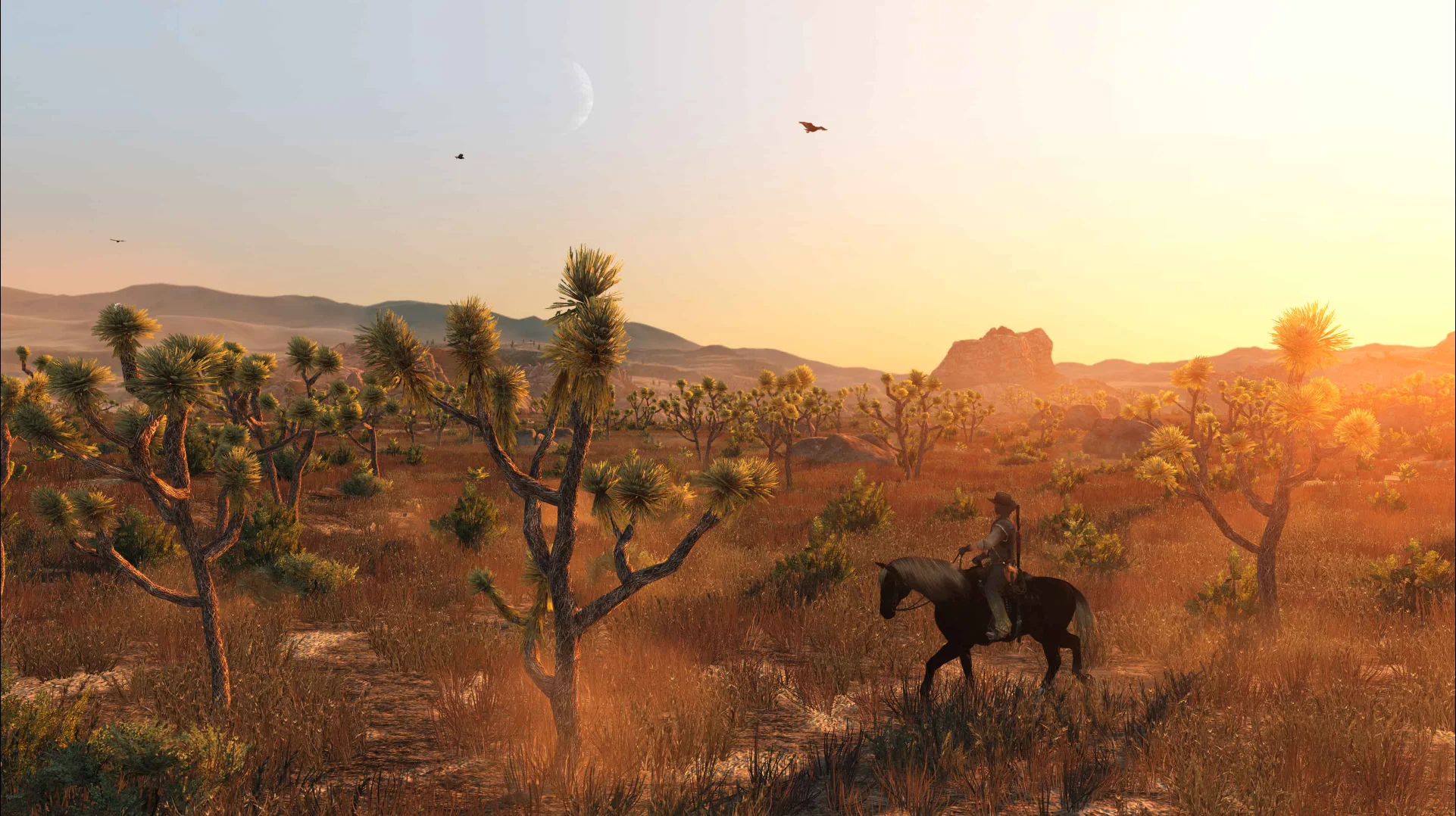 Dunia Wild West